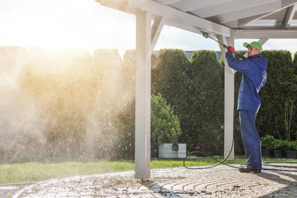 Best Sidewalk and Walkway Cleaning  in Grandy, NC